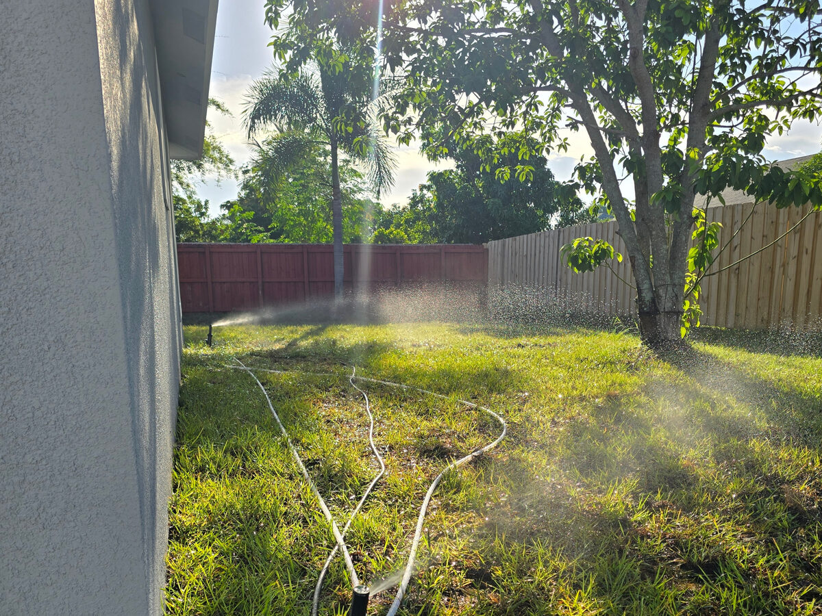 Sprinklers watering newly installed sod in the backyard